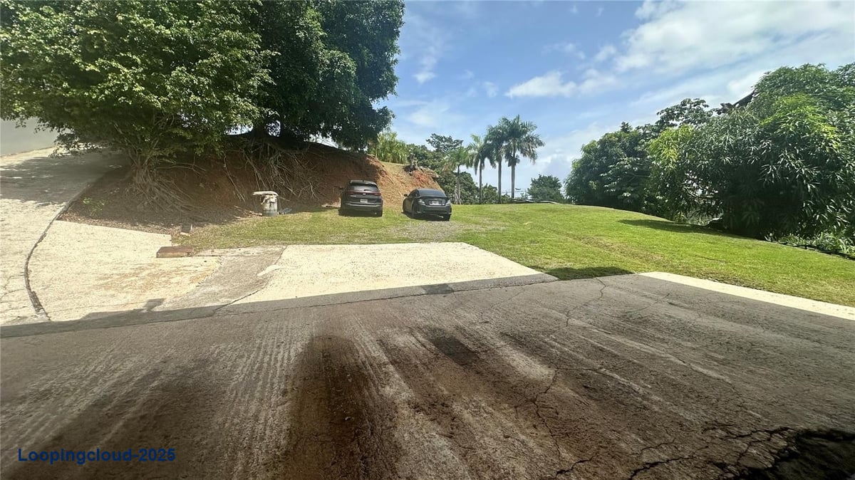 Commercial Property for Sale in Adjuntas Puerto Rico 00602