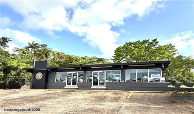 Carr 602 CARR 602 Utuado Puerto Rico, 00641 | Excellent Business Opportunity