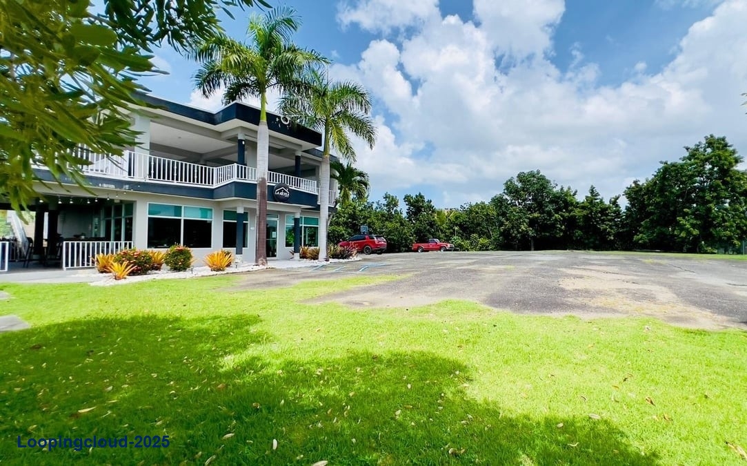 Commercial Property for Sale in ANASCO Puerto Rico 00610