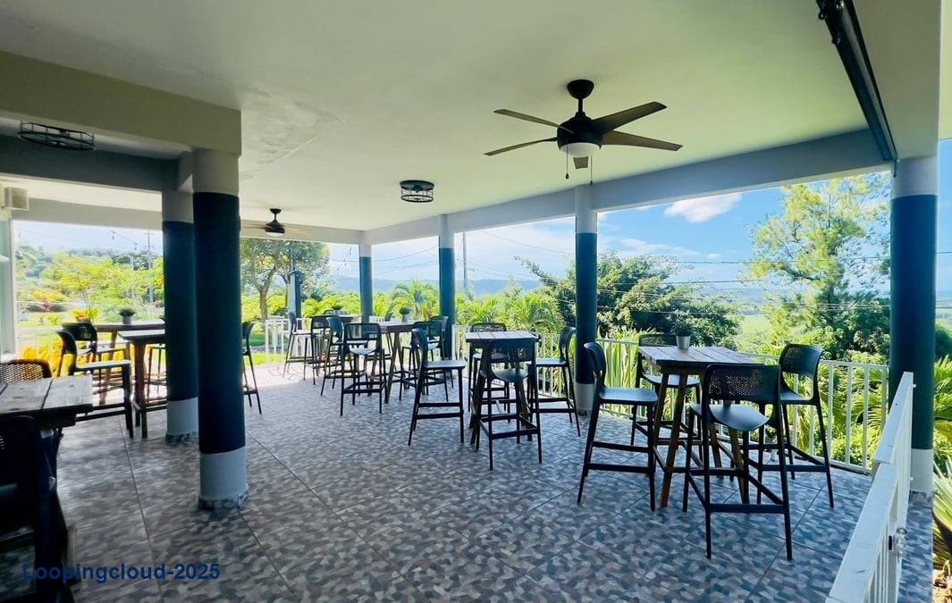 Commercial Property for Sale in ANASCO Puerto Rico 00610