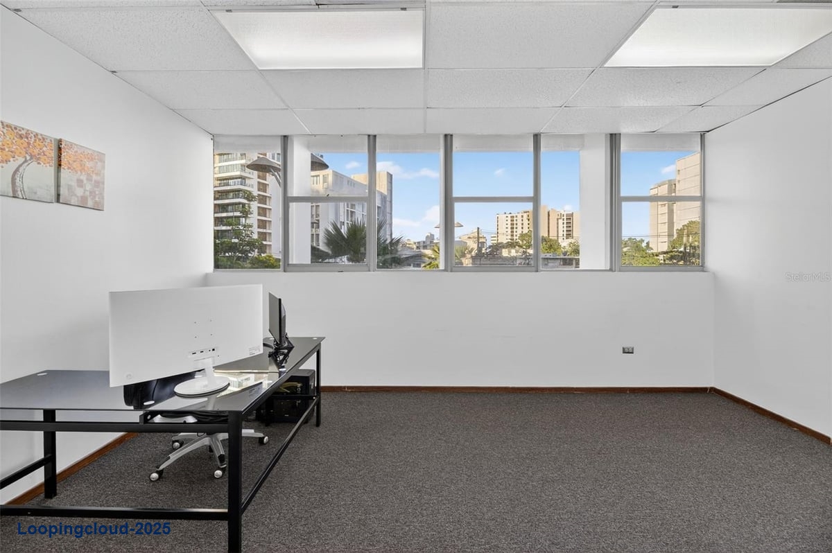 Office for Sale in San Juan Puerto Rico 00909
