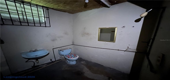 CALLE PRINCIPAL, 127, CANDELARIA ARENAS Toa Baja Puerto Rico, 00959 | Commercial property for sale in Candelaria Arenas