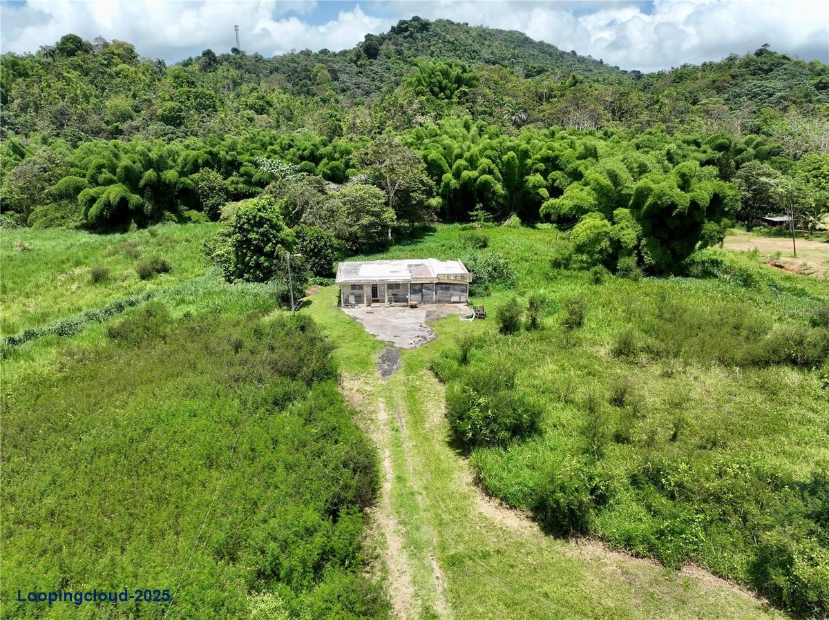 Land for Sale in San Lorenzo Puerto Rico 00754