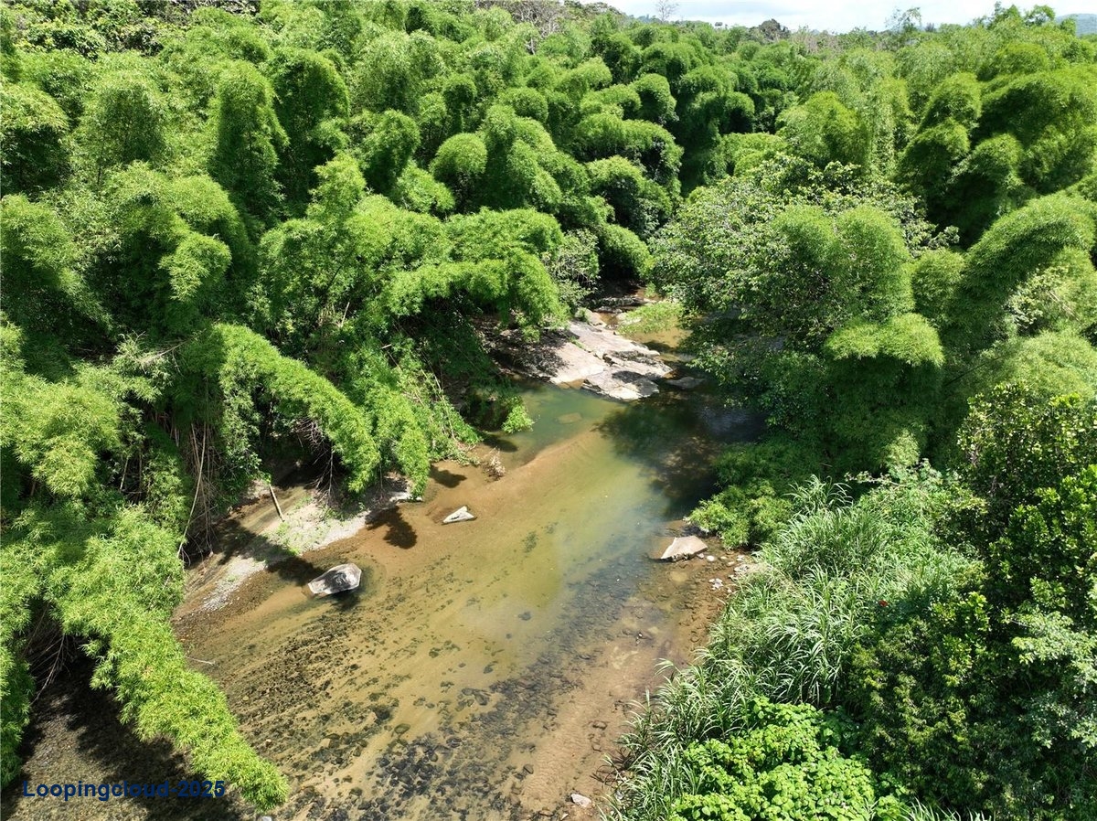Land for Sale in San Lorenzo Puerto Rico 00754