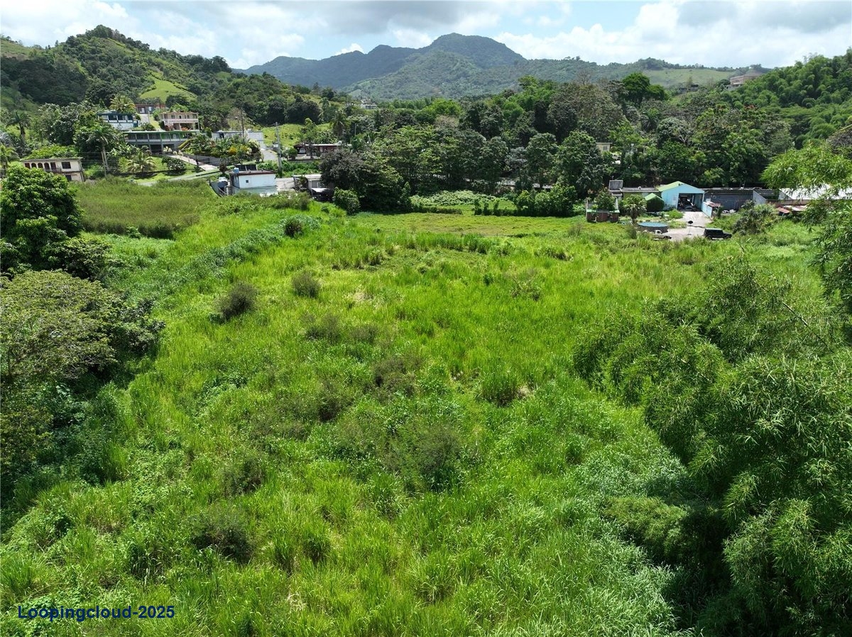 Land for Sale in San Lorenzo Puerto Rico 00754