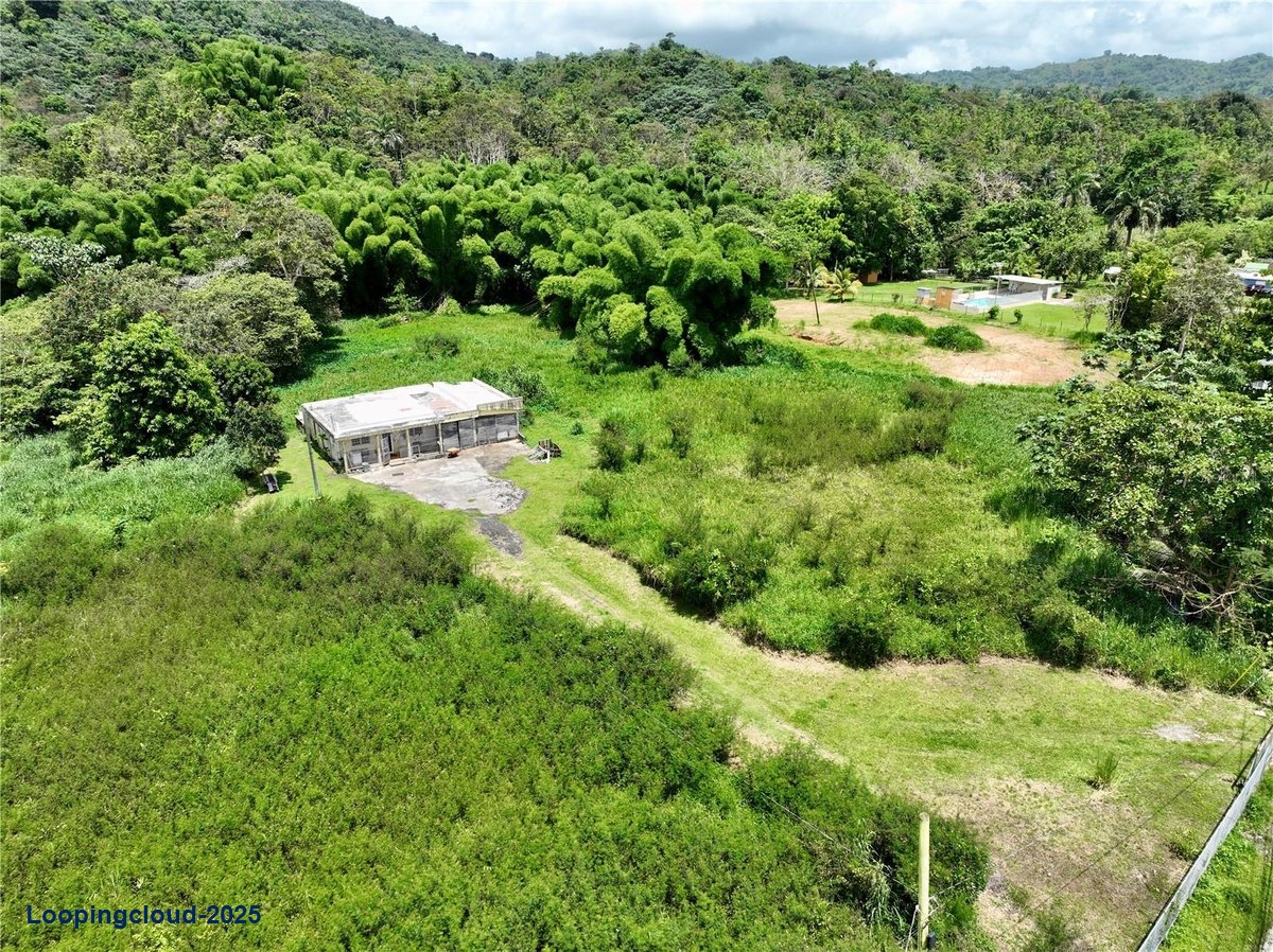 Land for Sale in San Lorenzo Puerto Rico 00754