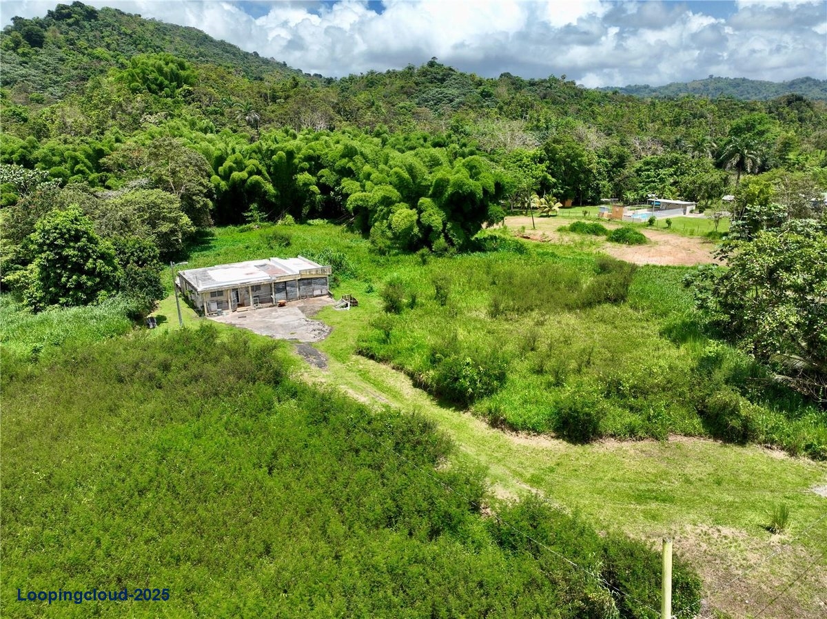 Land for Sale in San Lorenzo Puerto Rico 00754