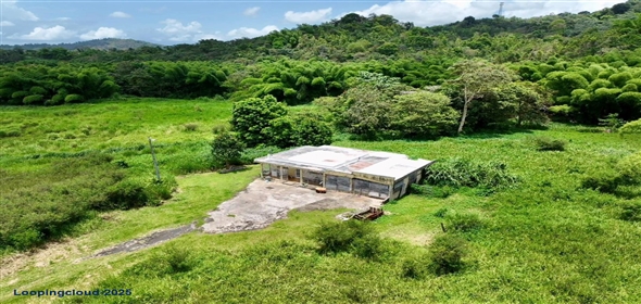 CARR 181 KM 10 QUEBRADA HONDA San Lorenzo Puerto Rico, 00754 | Expansive Parcel of Land