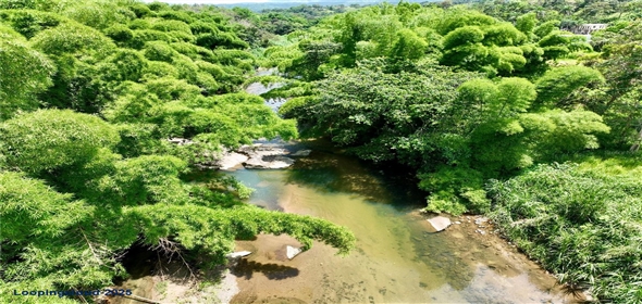 CARR 181 KM 10 QUEBRADA HONDA San Lorenzo Puerto Rico, 00754 | Expansive Parcel of Land