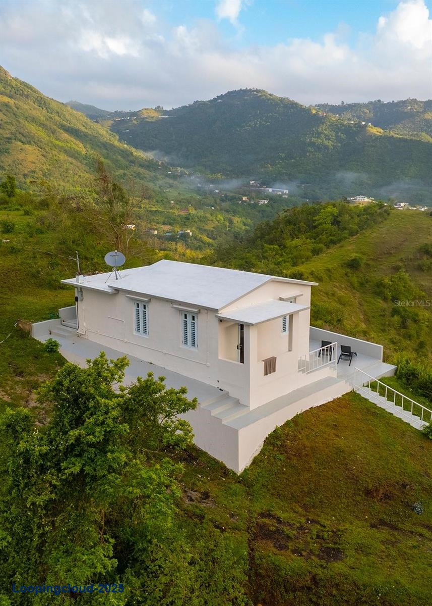 Commercial Property for Sale in Cayey Puerto Rico 00736