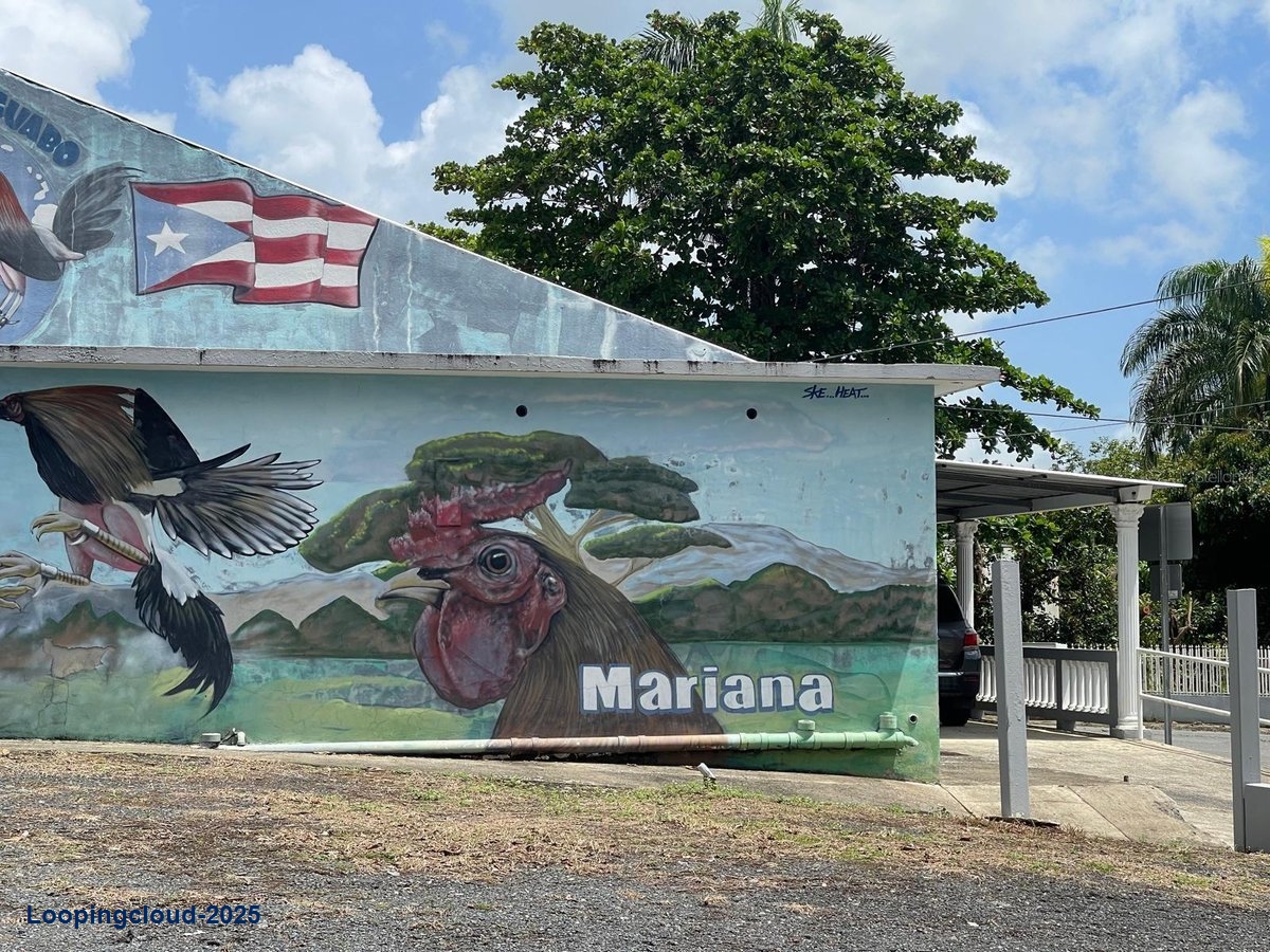 Commercial Property for Sale in Naguabo Puerto Rico