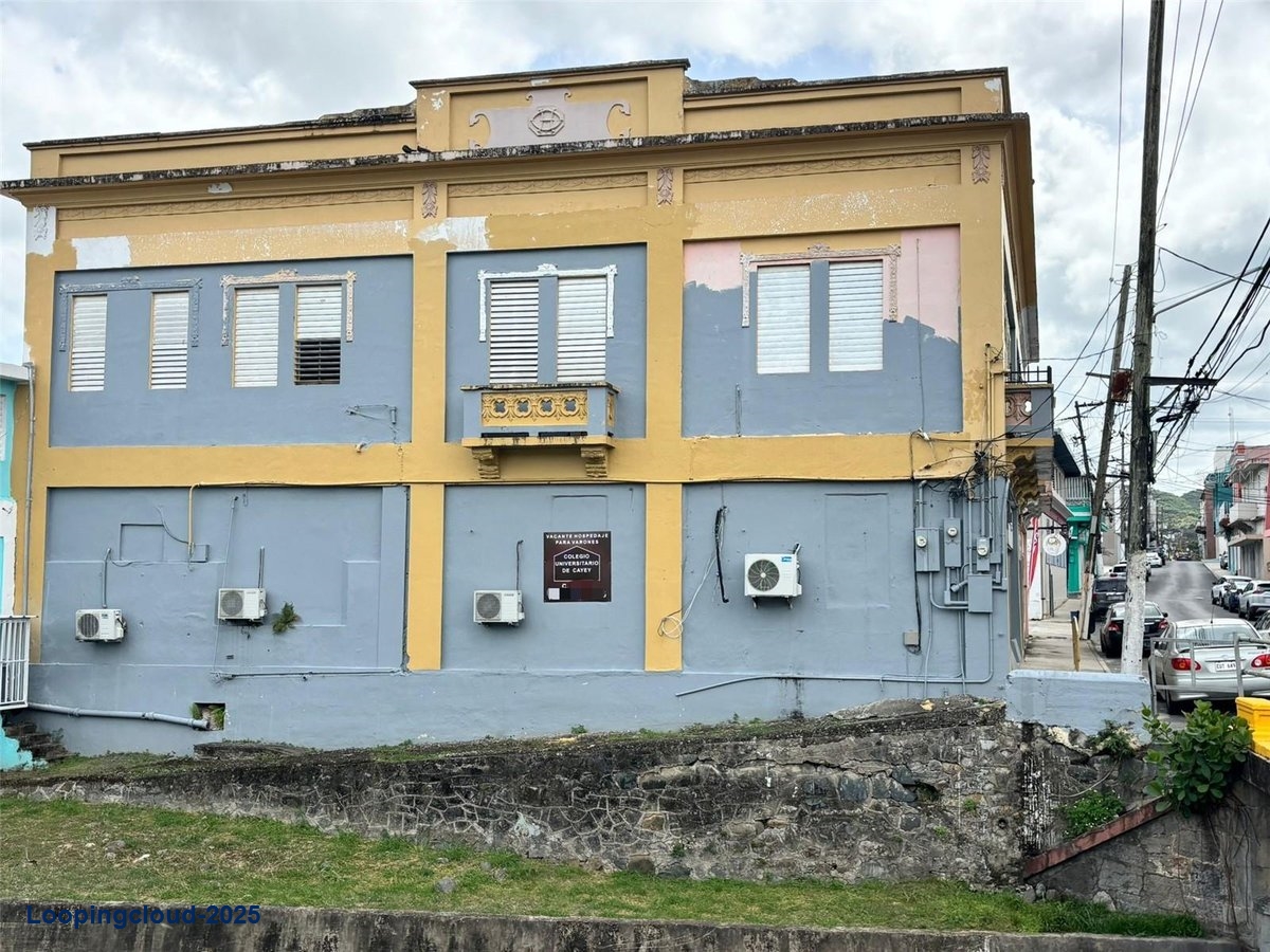 Commercial Property for Sale in Cayey Puerto Rico 00736