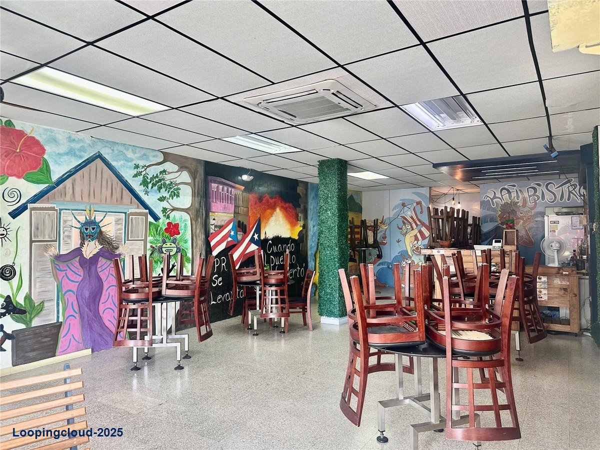 Commercial Property for Sale in San Lorenzo Puerto Rico 00754