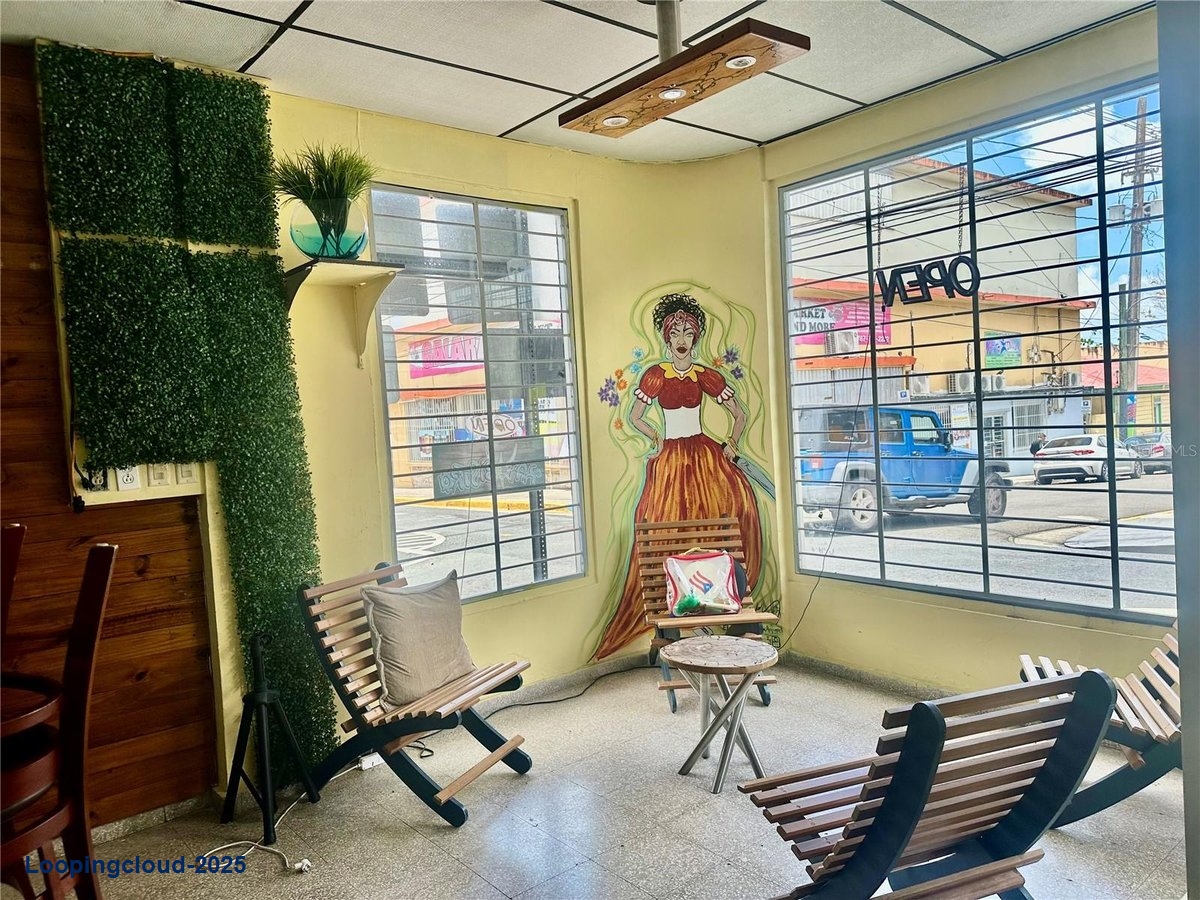 Commercial Property for Sale in San Lorenzo Puerto Rico 00754