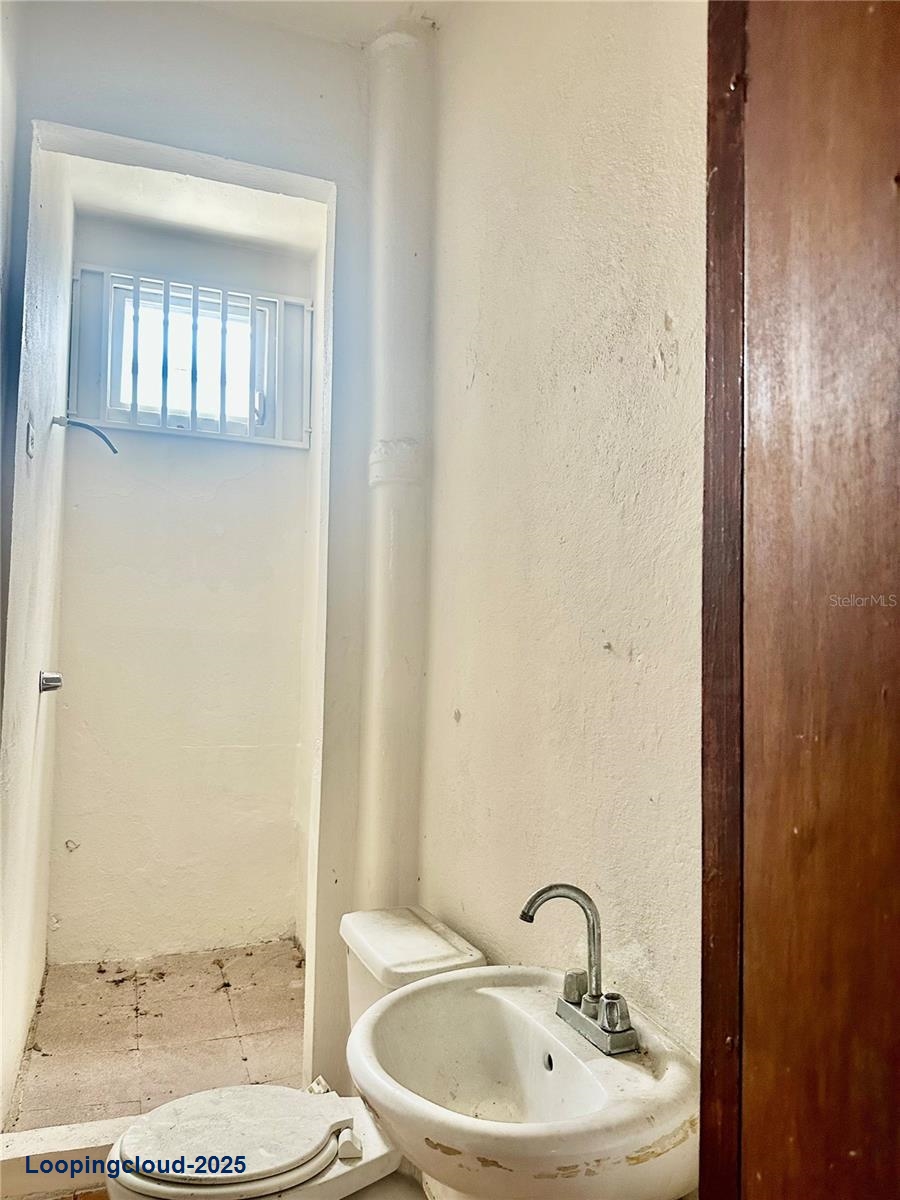 Commercial Property for Sale in San Lorenzo Puerto Rico 00754