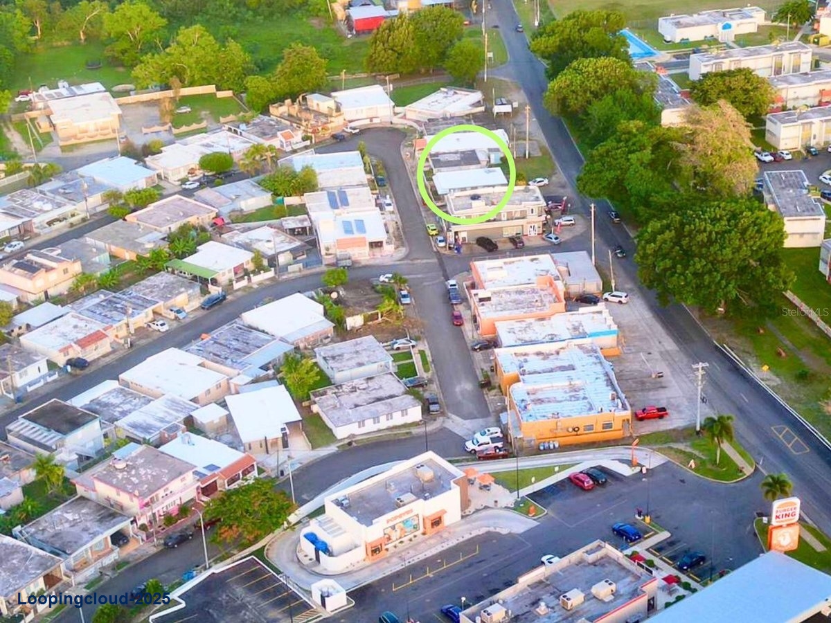 Commercial Property for Sale in Naguabo Puerto Rico 00718