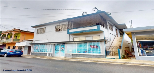 81 BO RAMON TORRES San Juan Puerto Rico, 00650 | Commercial Property