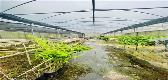 CARRETERA 119 San Germán Puerto Rico, 00683 | CARRETERA 119, SAN GERMAN, PR 00683