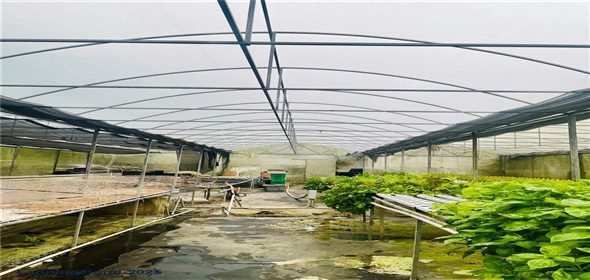 CARRETERA 119 San Germán Puerto Rico, 00683 | CARRETERA 119, SAN GERMAN, PR 00683