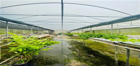 CARRETERA 119 San Germán Puerto Rico, 00683 | CARRETERA 119, SAN GERMAN, PR 00683