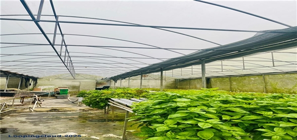 CARRETERA 119 San Germán Puerto Rico, 00683 | CARRETERA 119, SAN GERMAN, PR 00683