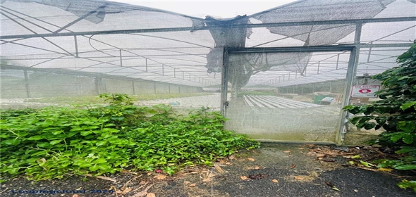 CARRETERA 119 San Germán Puerto Rico, 00683 | CARRETERA 119, SAN GERMAN, PR 00683