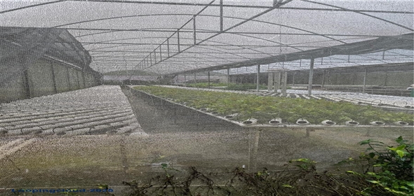 CARRETERA 119 San Germán Puerto Rico, 00683 | CARRETERA 119, SAN GERMAN, PR 00683