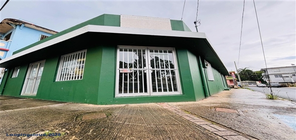 #60 CALLE DR. LÓPEZ ESQUINA SAN RAFAEL Fajardo Puerto Rico, 00738 | Commercial Building for Sale
