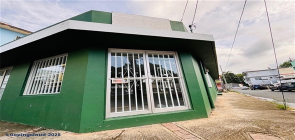 #60 CALLE DR. LÓPEZ ESQUINA SAN RAFAEL Fajardo Puerto Rico, 00738 | Commercial Building for Sale