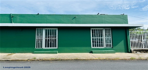 #60 CALLE DR. LÓPEZ ESQUINA SAN RAFAEL Fajardo Puerto Rico, 00738 | Commercial Building for Sale