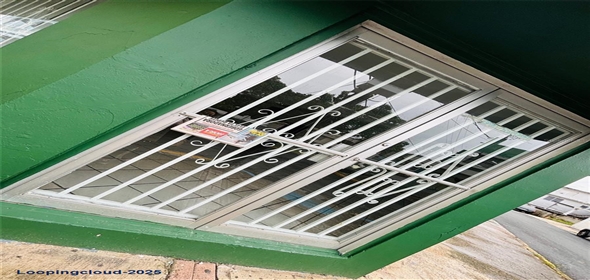 #60 CALLE DR. LÓPEZ ESQUINA SAN RAFAEL Fajardo Puerto Rico, 00738 | Commercial Building for Sale