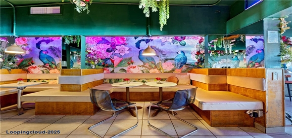 5916 AVENIDA ISLA VERDE Carolina Puerto Rico, 00979 | Patio de las Flores