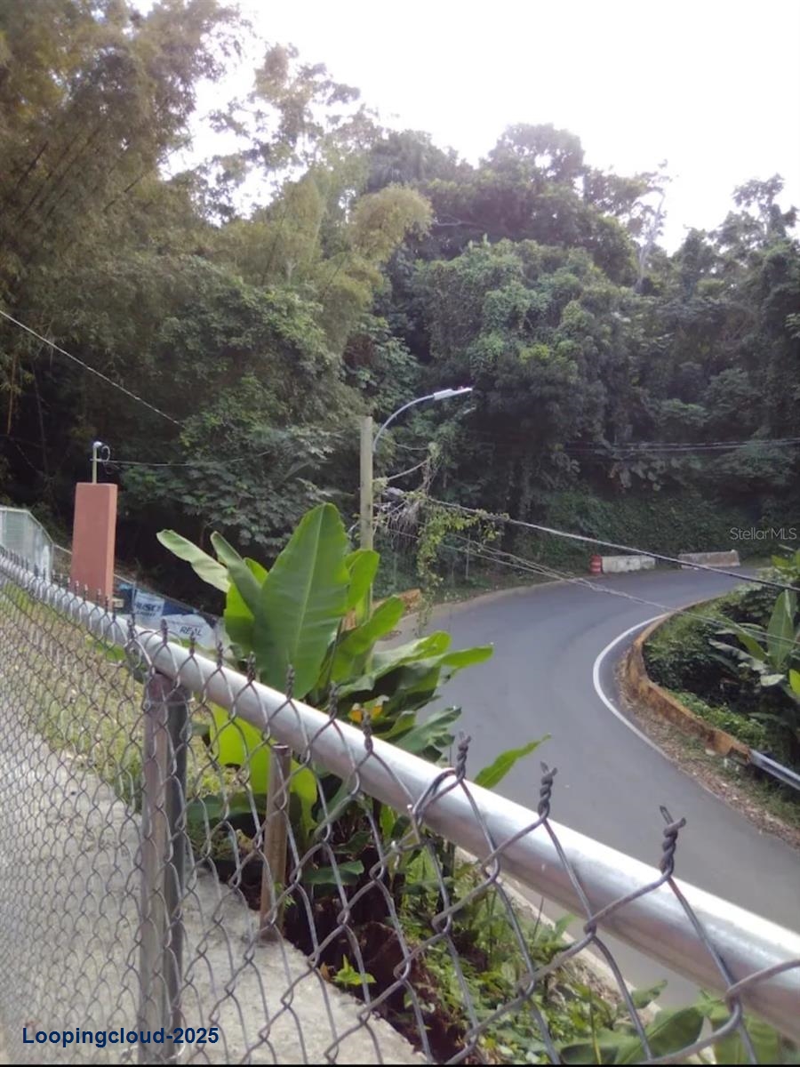 Commercial Property for Sale in Ceiba Puerto Rico 00735