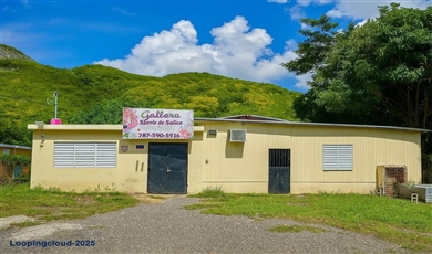 BARRIO QUEBRADA YEGUAS LA PLENA 94, Salinas Puerto Rico , 00751