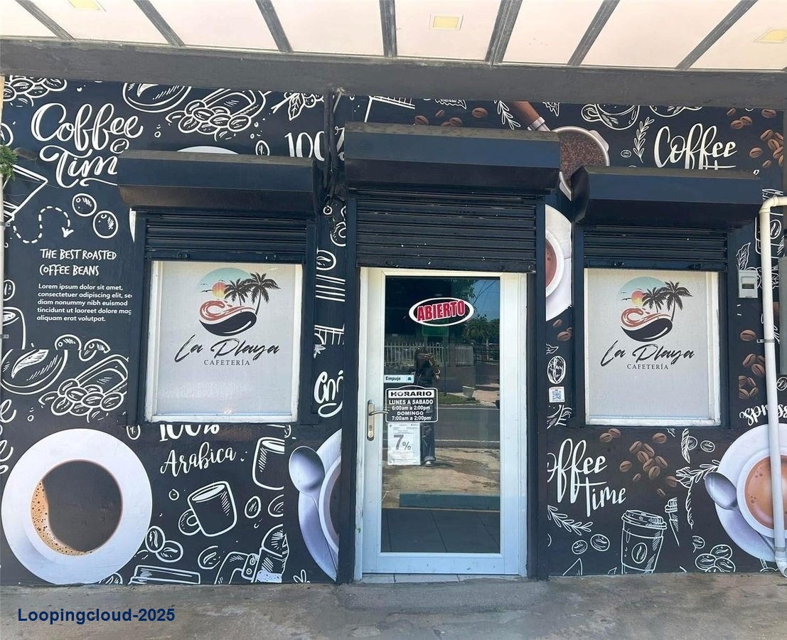 CARR 686 KM 10.6, VEGA BAJA, PR 00693