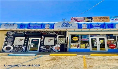  CARR 686 KM 10.6, VEGA BAJA, PR 00693