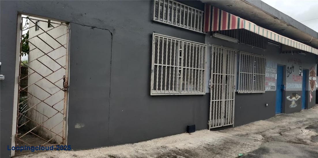 PR-156 KM 48.6 SUMIDERO WARD, AGUAS BUENAS, PR 00703