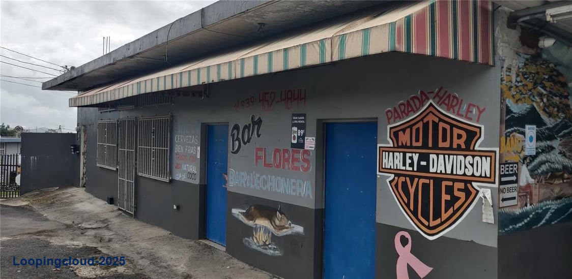 PR-156 KM 48.6 SUMIDERO WARD, AGUAS BUENAS, PR 00703