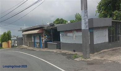  PR-156 KM 48.6 SUMIDERO WARD, AGUAS BUENAS, PR 00703