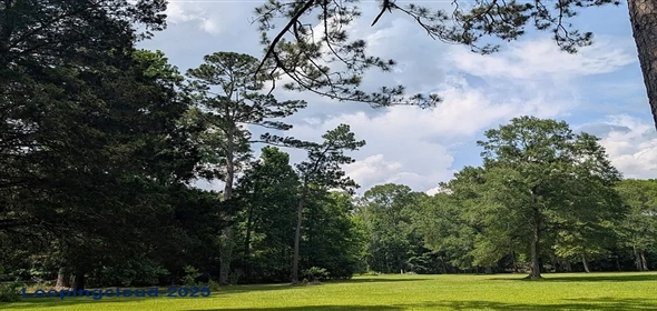 Newton St Jackson Louisiana, 70748 | Exclusive Lot for Sale