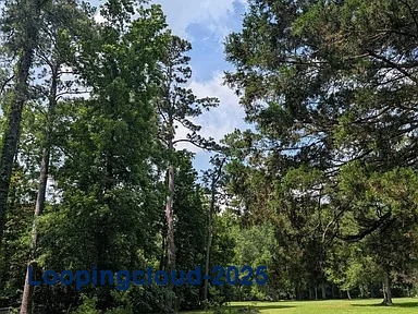 Commercial Property for Sale in Jackson Louisiana 70748