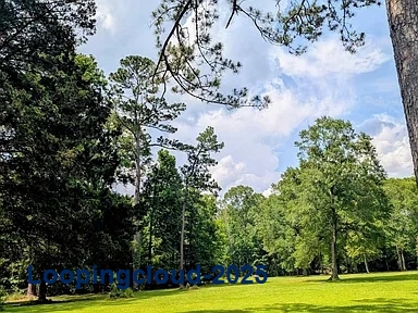 Commercial Property for Sale in Jackson Louisiana 70748