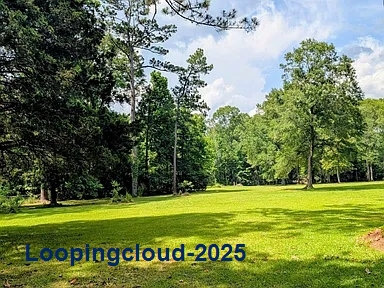 Commercial Property for Sale in Jackson Louisiana 70748