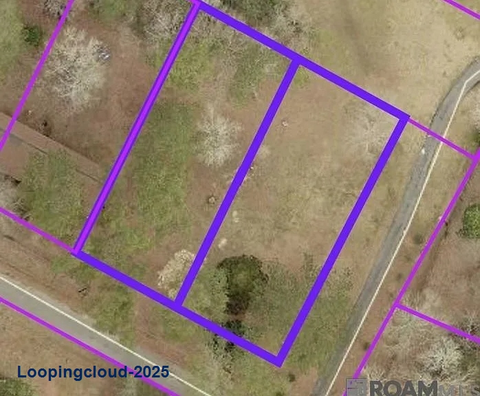 Commercial Property for Sale in Jackson Louisiana 70748