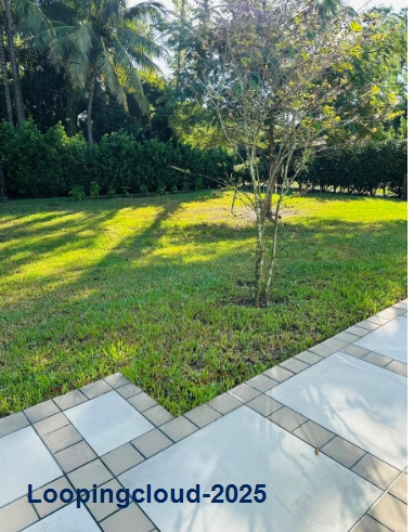 Beautiful Apartment Studio