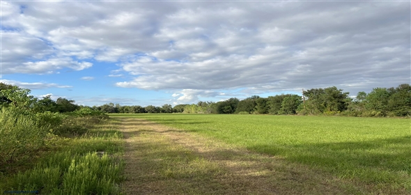 28150 Morton Rd Katy Texas, 77493 | Unrestricted Land in Katy
