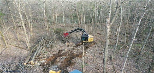 Louisville Kentucky, 40201 | Land Clearing & Tree Service Company - Louisville KY