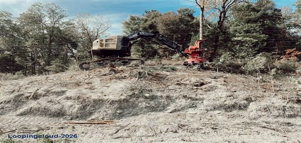 Louisville Kentucky, 40201 | Land Clearing & Tree Service Company - Louisville KY