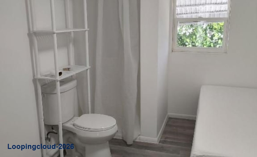 Completely Renovated Studio