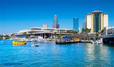 307 N Westland Ave, Tampa Florida , 33606